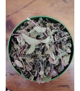 Premium Organic Mint Tea - 100Gr